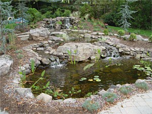 Pond with waterfall 2